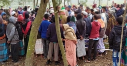 চিলমারীতে জানাজার নামাজে মৌমাছির হানা: ৫০ জন আহত